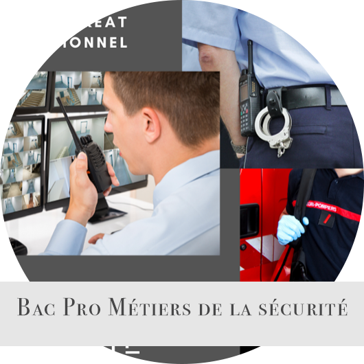 BacProMSecurite.png