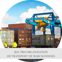 BACPRO ORGANISATION DE TRANSPORT DE MARCHANDISES2.png