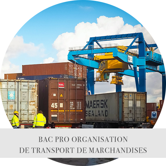 BACPRO ORGANISATION DE TRANSPORT DE MARCHANDISES2.png