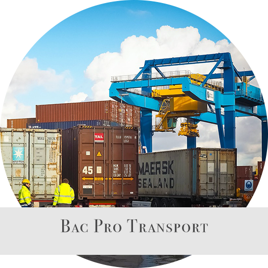 BACPROTRANSPORT2.png
