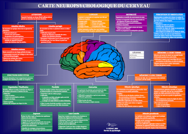 carte-neuropsychologique-cerveau-e1516885748373.png