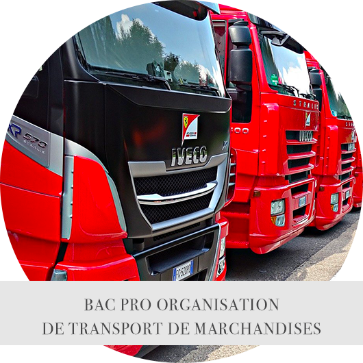 GATL_BACPRO ORGANISATION DE TRANSPORT DE MARCHANDISES.png